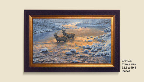 Framed Red Deer Stags Print - River Crossing in Snow