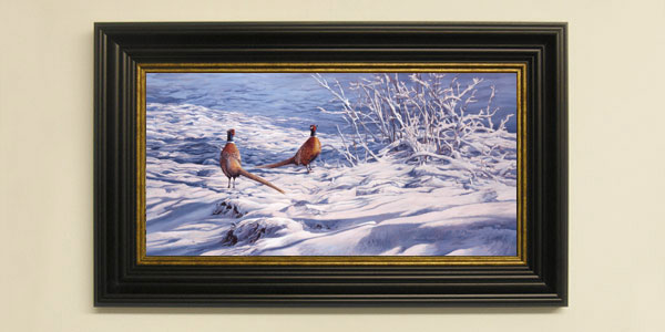 Ring-necked pheasants print - Winter snow scene