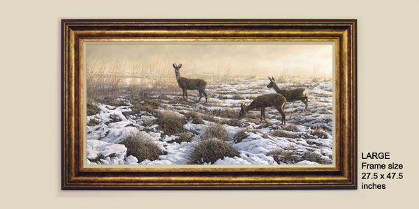 Roe deer print from an oil painting by Martin Ridley. Roe deer, a roe buck and two does crossing a snow covered marsh.