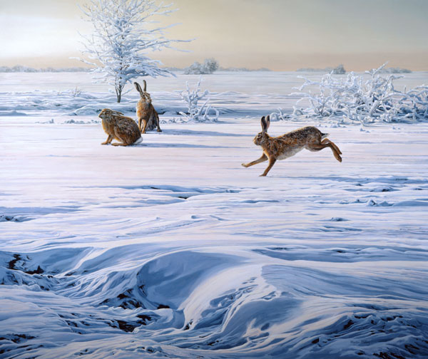 Canvas print depicting three brown hares in the snow. The print is entitled  - The Interloper