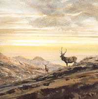 Limited edition print - Red deer stags descending the slopes at sunset