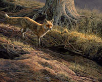 Red Fox at the Earth Print