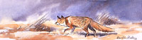 Red Fox Print