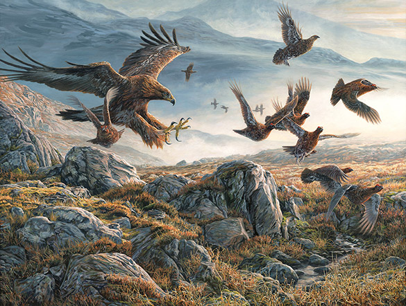 Golden Eagle swooping on Red Grouse - Falconry Art by Martin Ridley