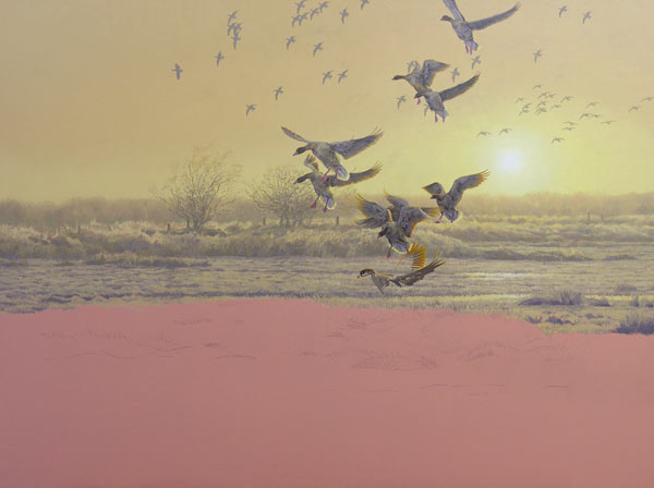 Original oil painting of pink-footed geese coming out of the mist and landing in a field.