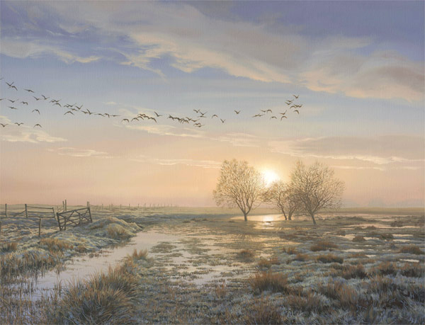 Geese oil painting - A skein of geese at dawn -  Pink-footed geese at sunrise 