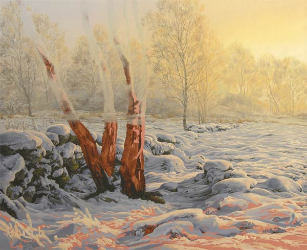 Wildlife art - Paintings in progress by artist Martin Ridley