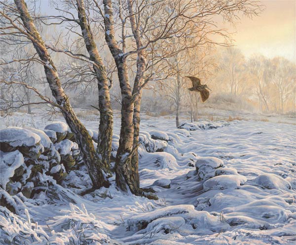 Wildlife art - Paintings in progress by artist Martin Ridley