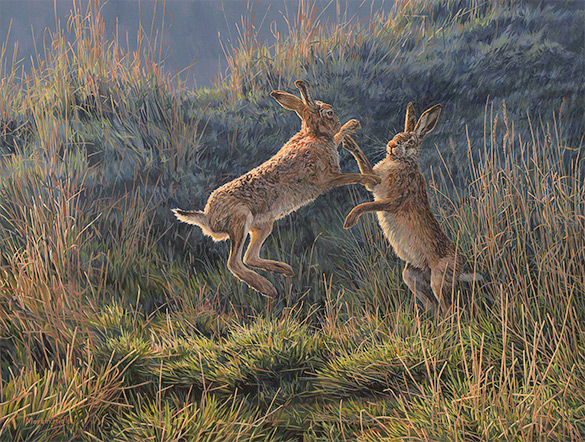 Boxing brown hares - original oil painting for sale