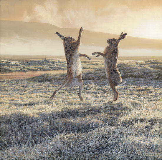 Oil painting of boxing hares in a frosty field.