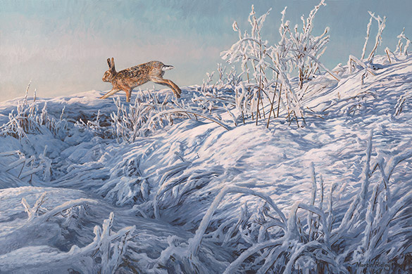 Winter brown hare running in snow - Oil painting for sale by Martin Ridley