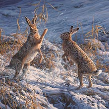 Boxing Hares - Original Oil Painting of brown hares