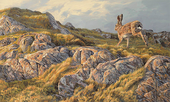 Running Brown Hare - Framed Oil Painting