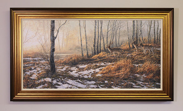 Ready framed original oil painting of fallow deer. Fallow Bucks by Martin Ridley