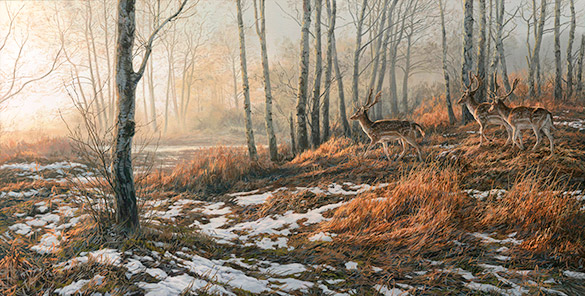 Fallow Bucks by Martin Ridley - Original oil painting