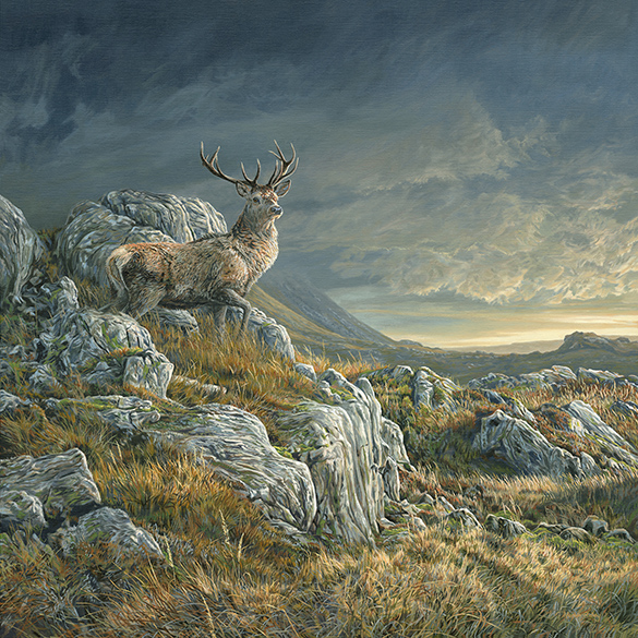 Red Deer Stag- Large Oil Painting for Sale