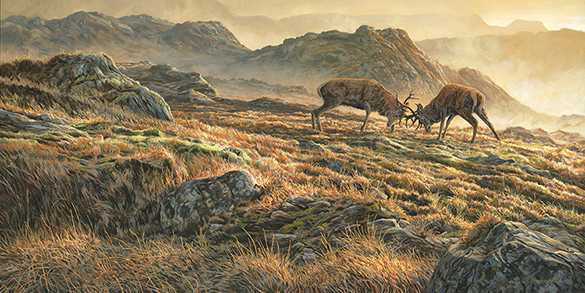 Two red deer stags in mountain scenery by Martin Ridley