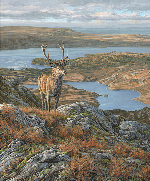Two red deer stags in mountain scenery by Martin Ridley