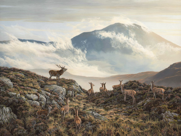 Scotland - Red Deer Painting Original Oil