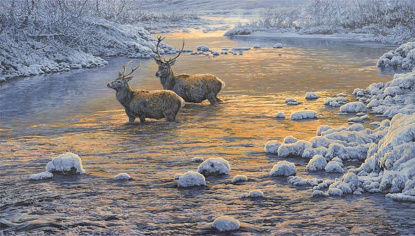 River Crossing - Red deer stags in snow - oil painting for sale