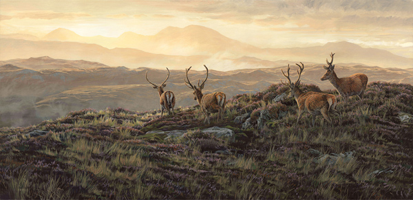 Red Deer Stags in Velvet - Oil Painting for Sale