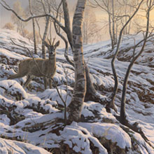 Winter roe buck on the edge of a woodland - Wildlife art canvas print