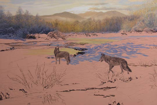 Original oil painting of a pack of wolves.