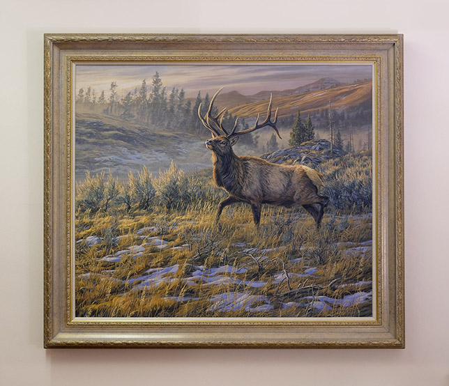 Framed original oil painting of a bull American elk in snow