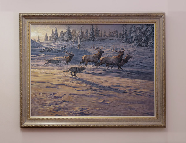 Framed original oil painting of grey wolves hunting American elk in winter
