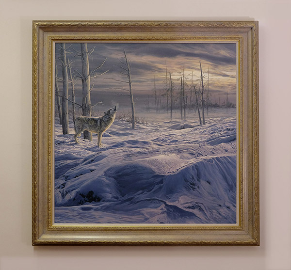 Framed original oil painting of gray wolf howling in snow