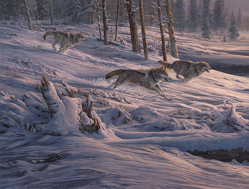 Diptych oil painting of Gray Wolves hunting American Elk